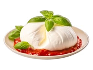 Fresh Italian Burrata cheese on Plate